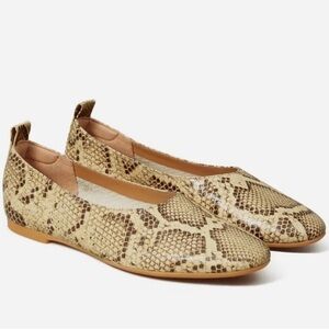 Everlane day glove ballet flats. Size 7, worn once.